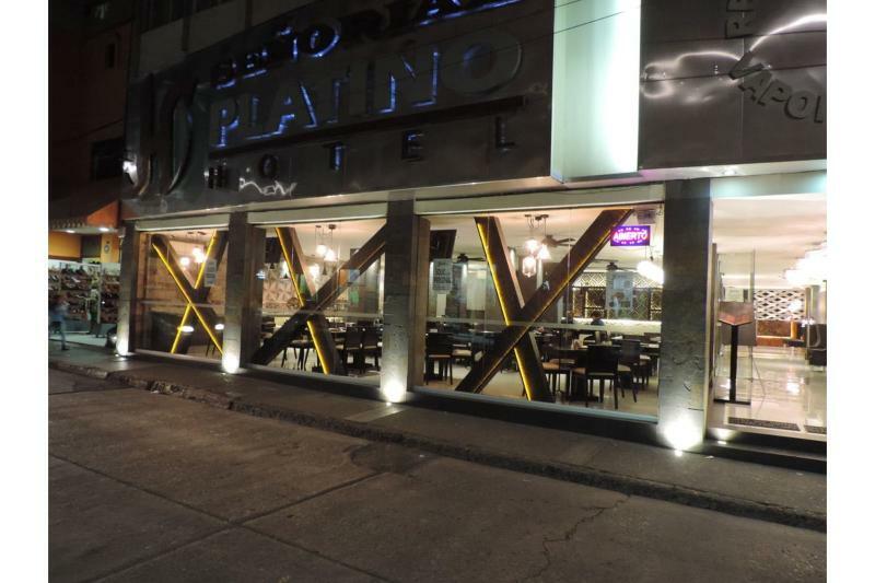 Hotel Senorial Platino Leon Exterior photo
